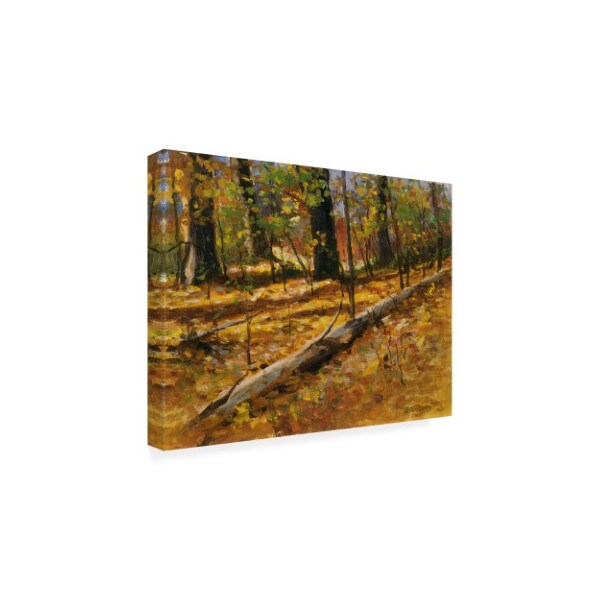 Michael Budden 'Autumn Collage' Canvas Art,35x47